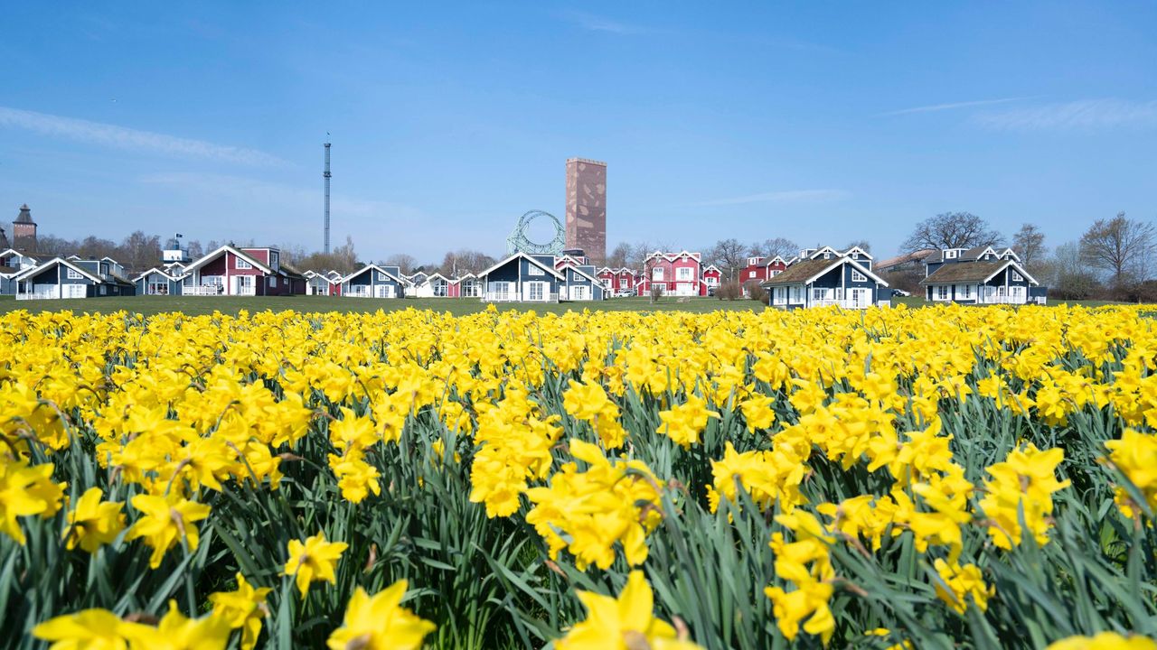 Landschaft Landschaft